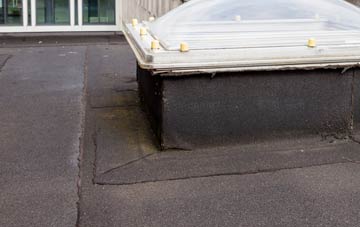 disadvantages of Heads flat roofs