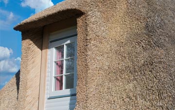 Heads thatch roof disadvantages